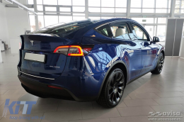 Avisa Heckstoßstangenprotektor geeignet für Tesla Model Y nach 2020, Chrom-image-6211683