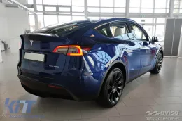 Avisa Heckstoßstangenprotektor geeignet für Tesla Model Y nach 2020, matt schwarz-image-6211842