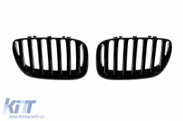 Black kidney grilles suitable for BMW X5 E53 2004-2006 - ABBMGR6009391