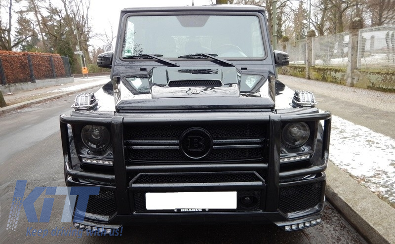 W463 on sale bull bar