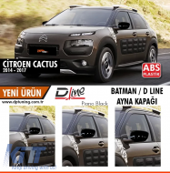 image-45-Cactus Batman Spiegelabdeckung Klavierlack / 2014 - 2017