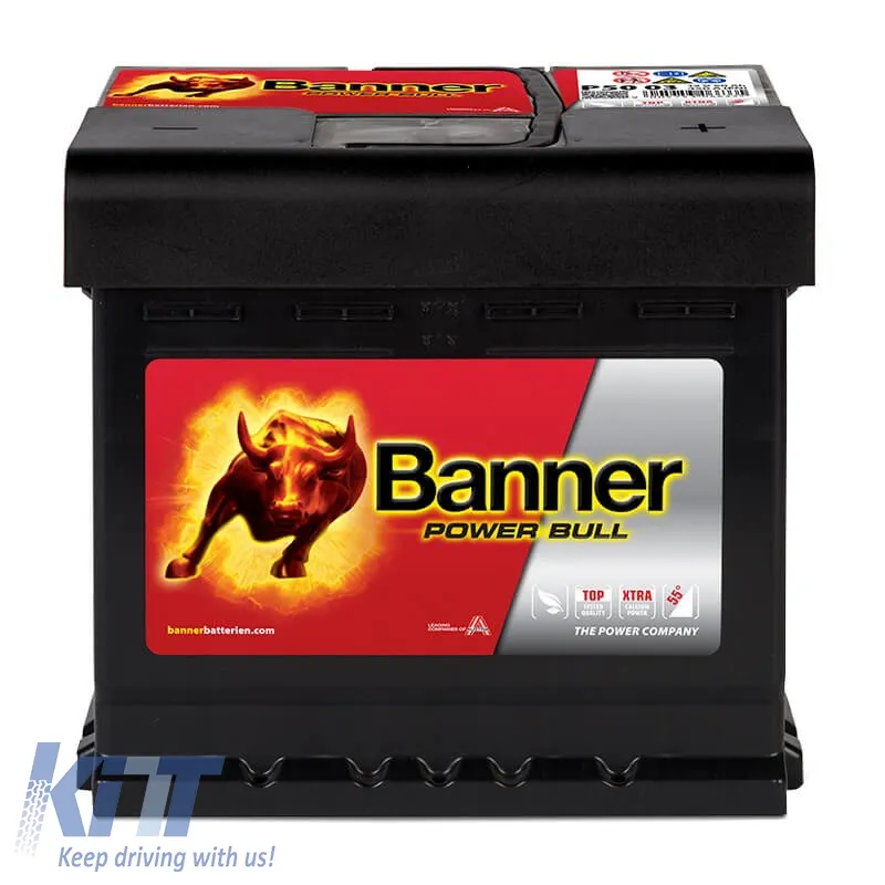 Car Battery 12V 50Ah Right Banner Power Bull 450A (EN) R5003