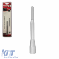 Car Roof Antenna Universal Small 10cm Silver Pompe with Adapters