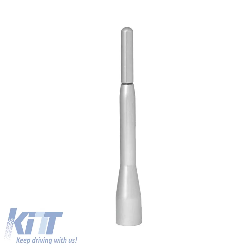 Car Roof Antenna Universal Small 10cm Silver Pompe with Adapters