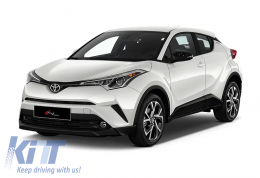 image-18-CHR Batman Spiegelabdeckung Klavierlack / 2016 und später