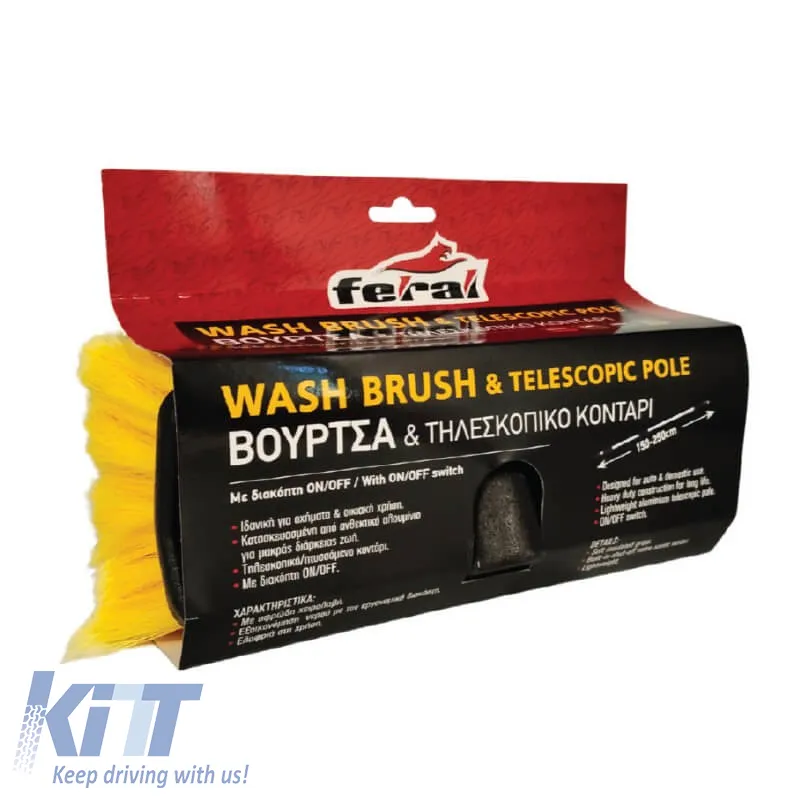 Cleaning Brush 25x9cm Feral 25103