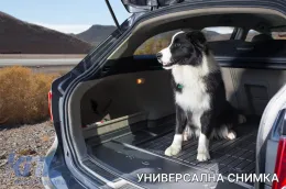 Frogum ProLine rubber trunk mat suitable for Kia Ceed wagon after 2018-image-6233940