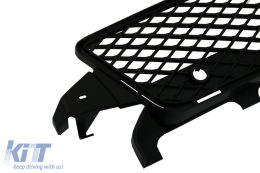 Griglia anteriore per Mercedes CLS W218 C218 X218 Sport Line 11-14 GT-R Panamericana Look-image-6069179
