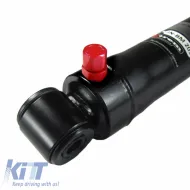 Hardness and height adjustable coilover kits NJT EXtreme suitable for BMW 3 E36 90-99 4/6 cylinder except M3-image-6325515