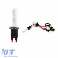 image-2-HID Xenon-Birne H1 6000K 1Stück