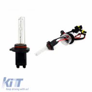 HID Xenon Bulb HB3 9005 6000K 1pc