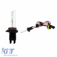 HID Xenon Bulb HB4 9006 6000K 1pc