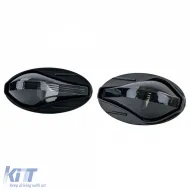 Klarsichtglas-Seitenblinker schwarz, geeignet für Peugeot 107 206 SW CC 307 407 607, Toyota Aygo-image-6209453