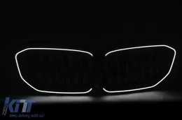 LED Central Kidney Grilles suitable for BMW X5 G05 (2018-2022) Double Stripe Piano Black-image-6277400