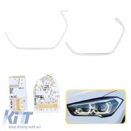 Led DRL Module & DRL Tube suitable for Bmw X1 F48 Facelift 2019-2023 Left Light