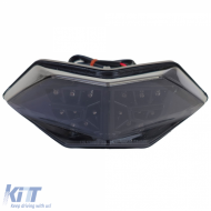 Motorcycle LED Tinted Taillight for Kawasaki Z300 / Ninja 300 / Ninja 250 R
