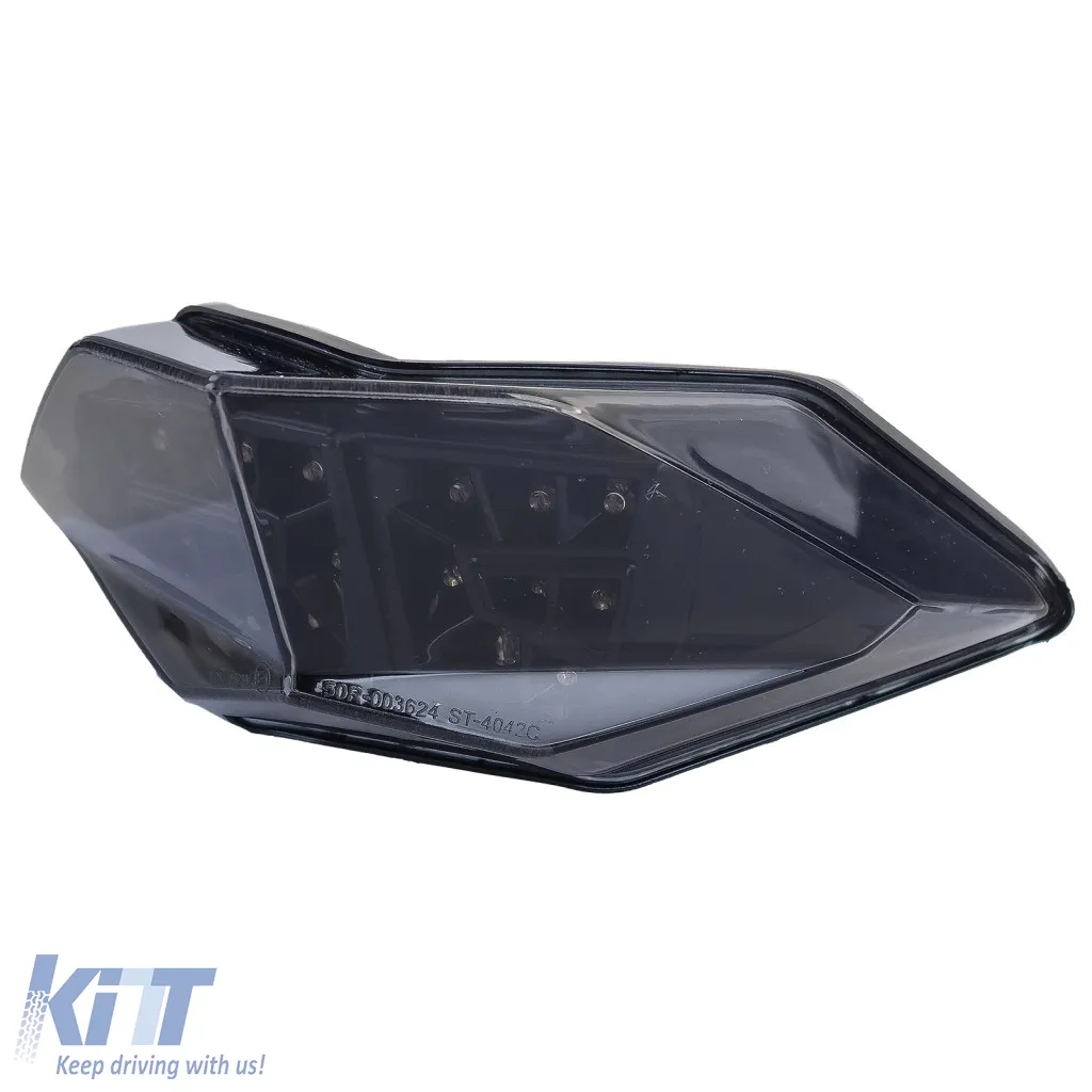 Motorcycle LED Tinted Taillight for Kawasaki Z300 / Ninja 300 / Ninja 250 R