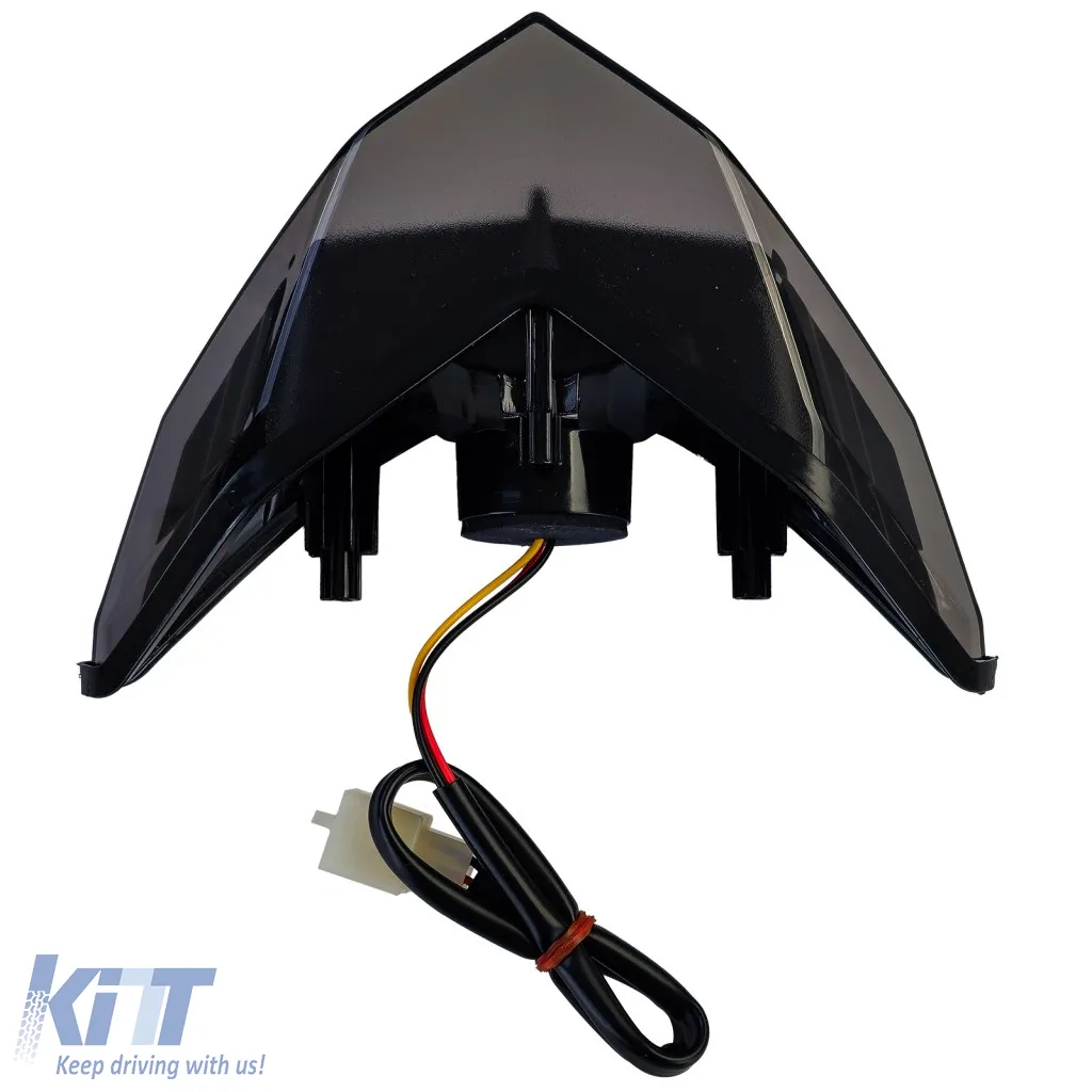 Motorcycle LED Tinted Taillight for Kawasaki Z300 / Ninja 300 / Ninja 250 R