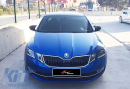 image-25-Octavia Batman Spiegelabdeckung Klavierlack / 2013-2020