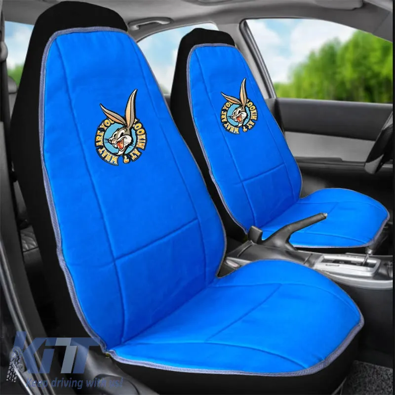 Seat Cushions Double Face Canvas Warner Bros Looney Tunes Blue Bugs Bunny / Grey Taz 2 Pcs