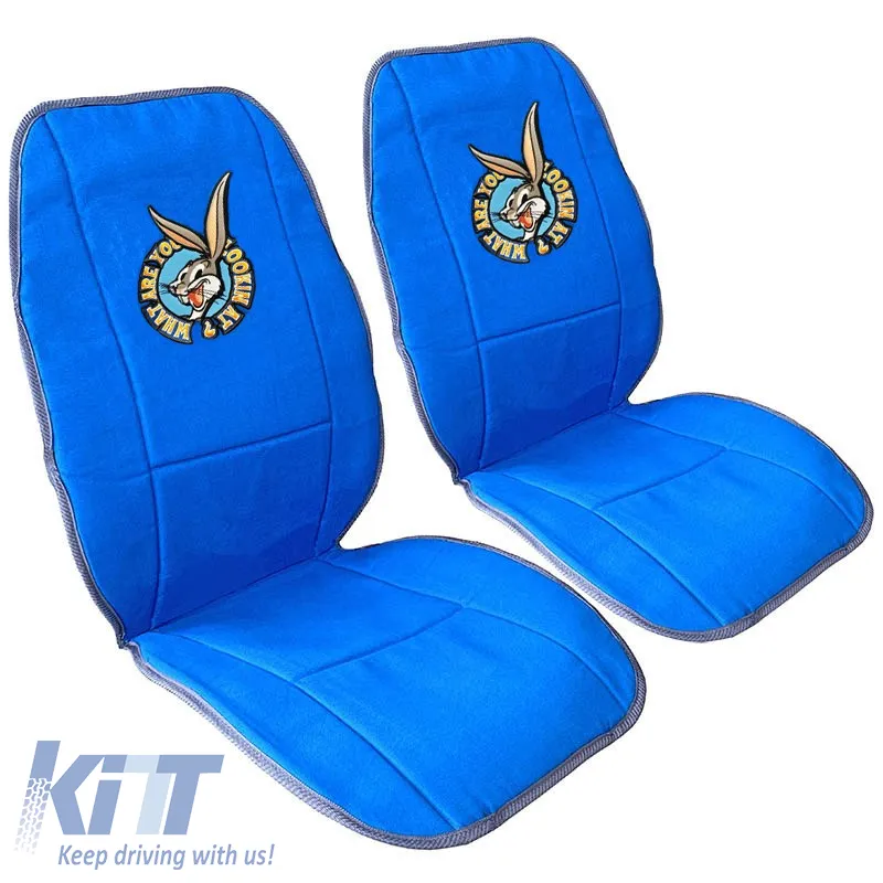 Seat Cushions Double Face Canvas Warner Bros Looney Tunes Blue Bugs Bunny / Grey Taz 2 Pcs