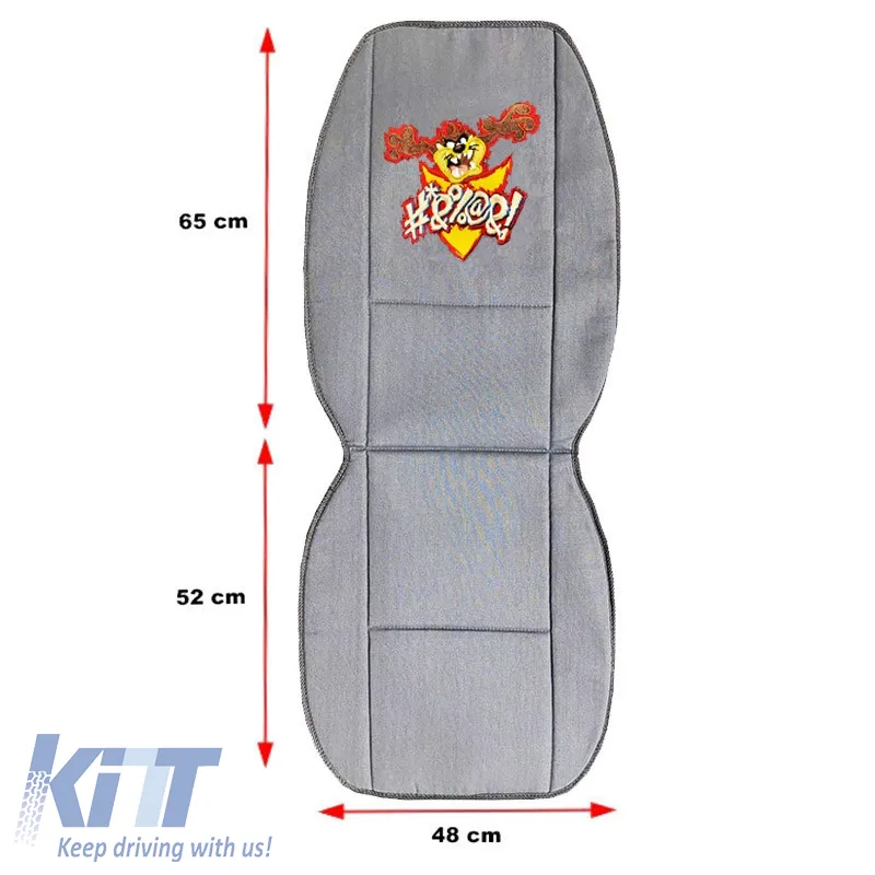 Seat Cushions Double Face Canvas Warner Bros Looney Tunes Blue Bugs Bunny / Grey Taz 2 Pcs