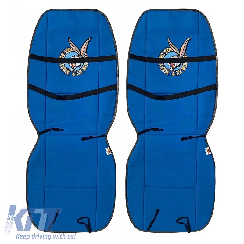 Seat Cushions Double Face Canvas Warner Bros Looney Tunes Blue Bugs Bunny / Grey Taz 2 Pcs