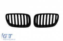 Single rib kidney grilles in black lacquer suitable for BMW X5 E53 2004-2007 - ABBMGR6008349