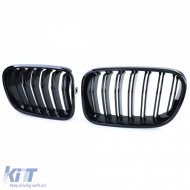Sport-Doppelsteg-Performance-Frontgrill geeignet für BMW X3 F25 10-14-image-6207187
