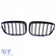 Sport-Doppelsteg-Performance-Grill glänzend geeignet für BMW 5er GT F07-image-6197255