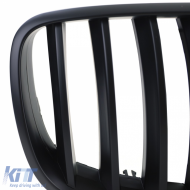 Sport grille Performance matte black suitable for BMW X5 E70 X6 E71 06-13-image-6264045