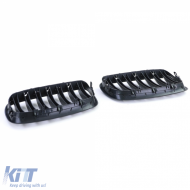 Sport grille Performance matte black suitable for BMW X5 E70 X6 E71 06-13-image-6264046