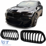 image-13-Sportgrill Performance glänzend geeignet für BMW X2 F39 ab 18