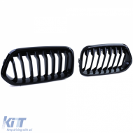 Sportgrill Performance glänzend geeignet für BMW X2 F39 ab 18-image-6203821