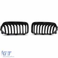 Sportgrill Performance glänzend geeignet für BMW X2 F39 ab 18-image-6203825