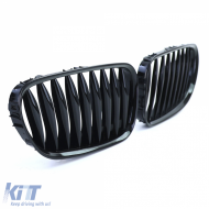 Sportgrill Performance glänzend schwarz geeignet für BMW Z4 E85 E86 02-09-image-6205358