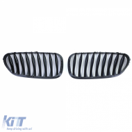 Sportgrill Performance glänzend schwarz geeignet für BMW Z4 E85 E86 02-09-image-6205363