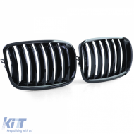 Sportgrill Performance glänzend schwarz geeignet für BMW X5 E70 X6 E71 06-13-image-6207265