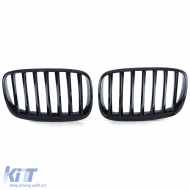 Sportgrill Performance glänzend schwarz geeignet für BMW X5 E70 X6 E71 06-13-image-6207266