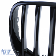 Sportgrill Performance glänzend schwarz geeignet für BMW X5 E70 X6 E71 06-13-image-6207268