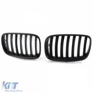Sportgrill Performance matt schwarz geeignet für BMW X5 E70 X6 E71 06-13-image-6264041