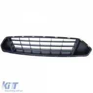 Sportgrill sauber, geeignet für Ford Mustang Coupe Convertible Facelift 17-22-image-6210574